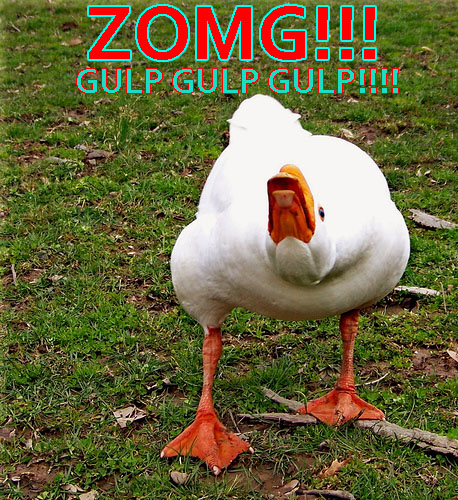 zomg goose.jpg